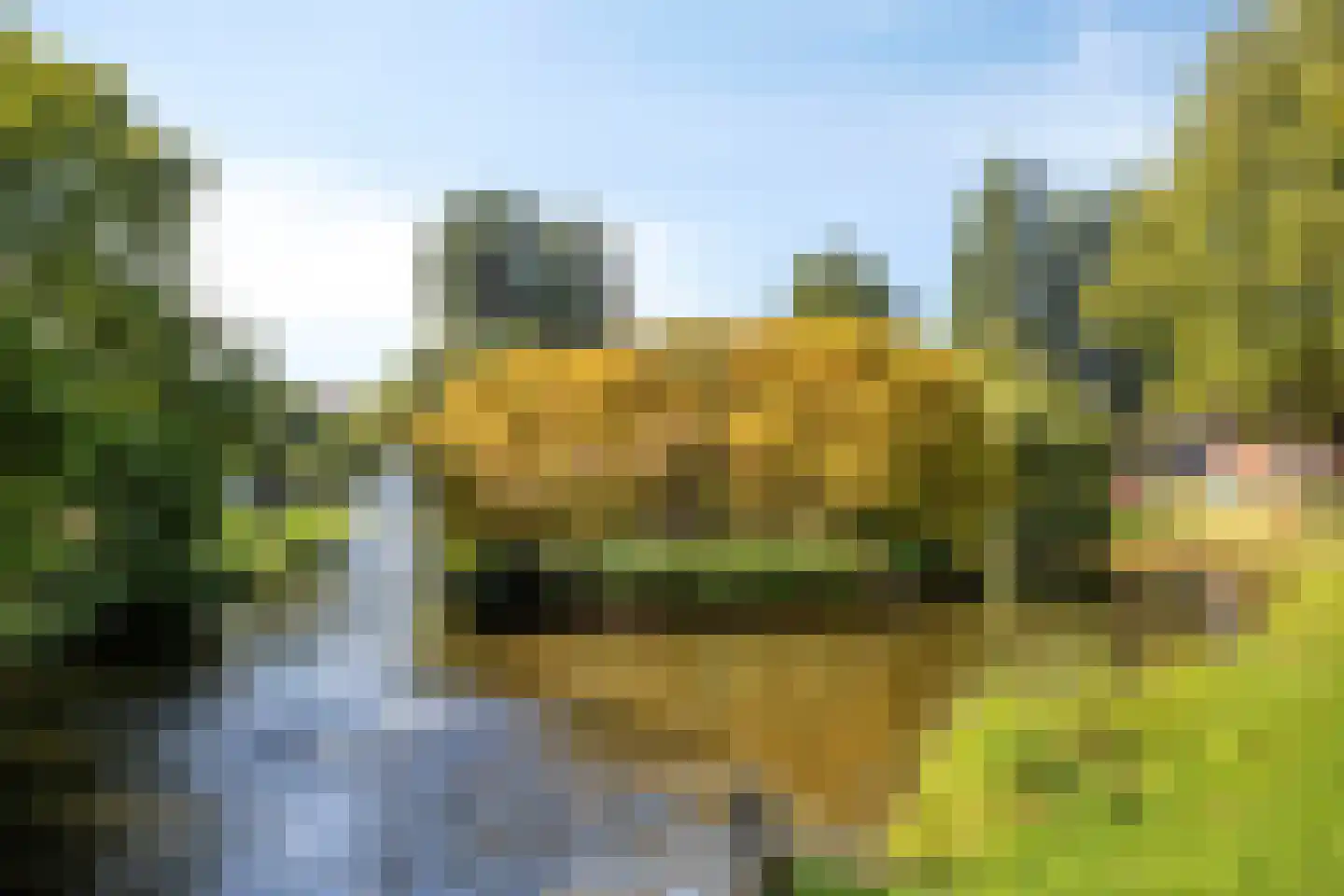 Snelliussingel 168 Schiedam thumbnail 24