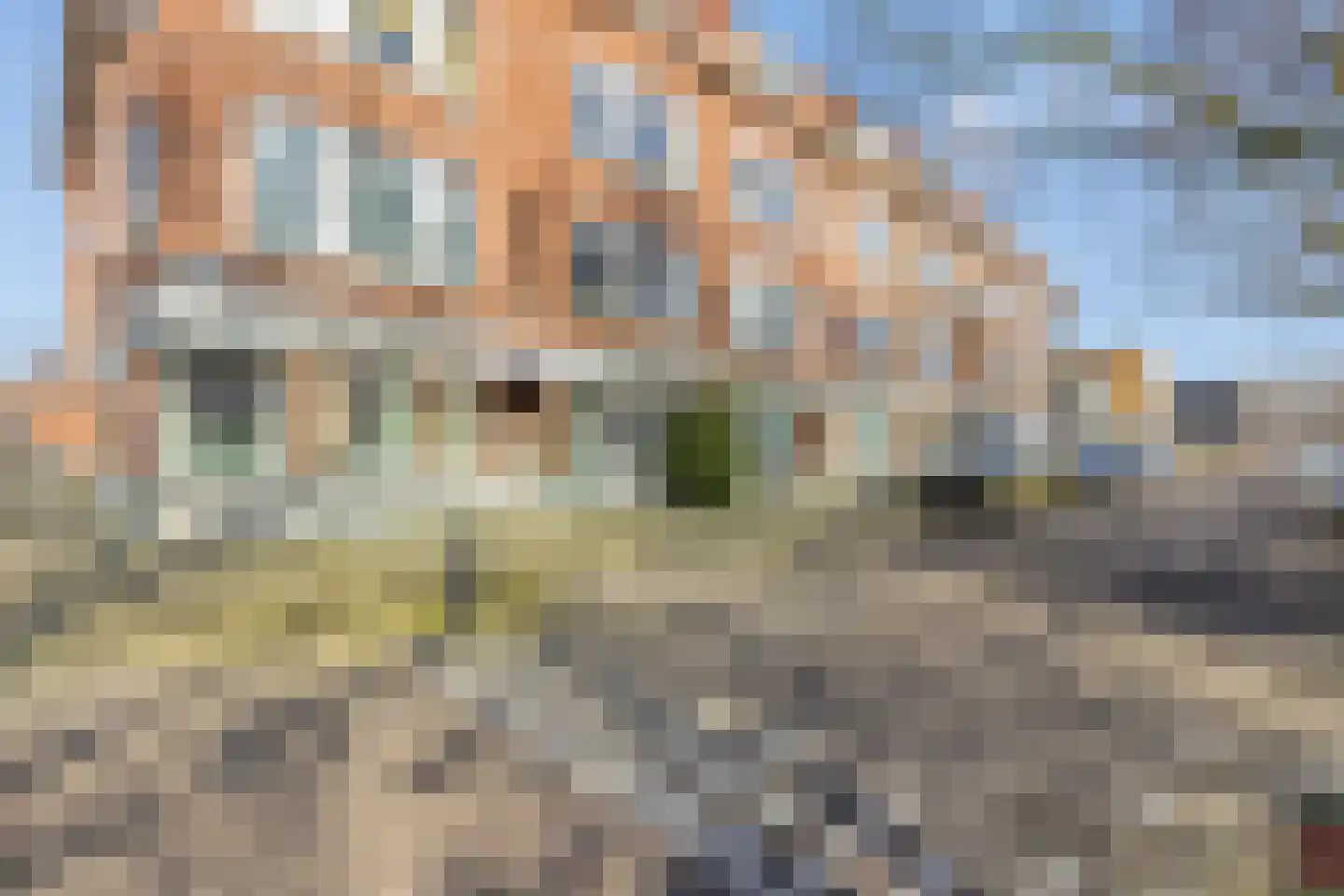 Snelliussingel 2 A Schiedam thumbnail 30