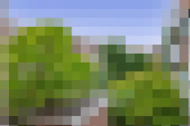 Snelliussingel 6 A Schiedam thumbnail 36
