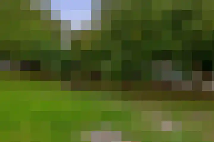 Snelliussingel 6 A Schiedam thumbnail 37