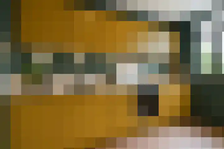 Snelliussingel 6 A Schiedam thumbnail 4