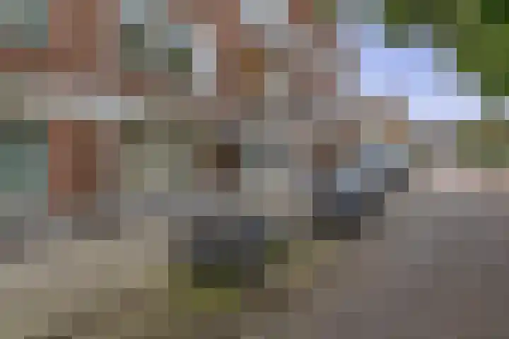 Snelliussingel 6 A Schiedam thumbnail 7