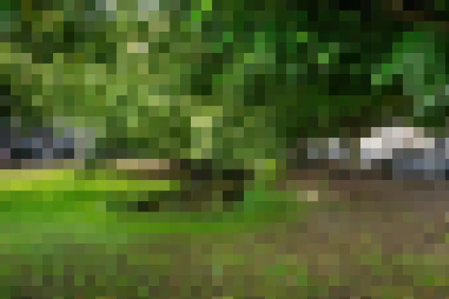 Snelliussingel 8 B Schiedam thumbnail 7