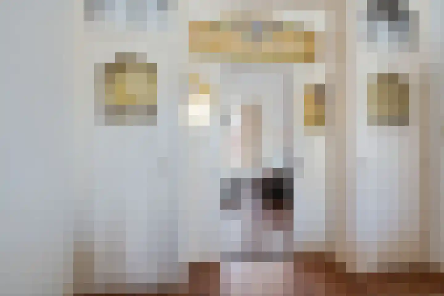 Snelliusstraat 17 Den Haag thumbnail 10