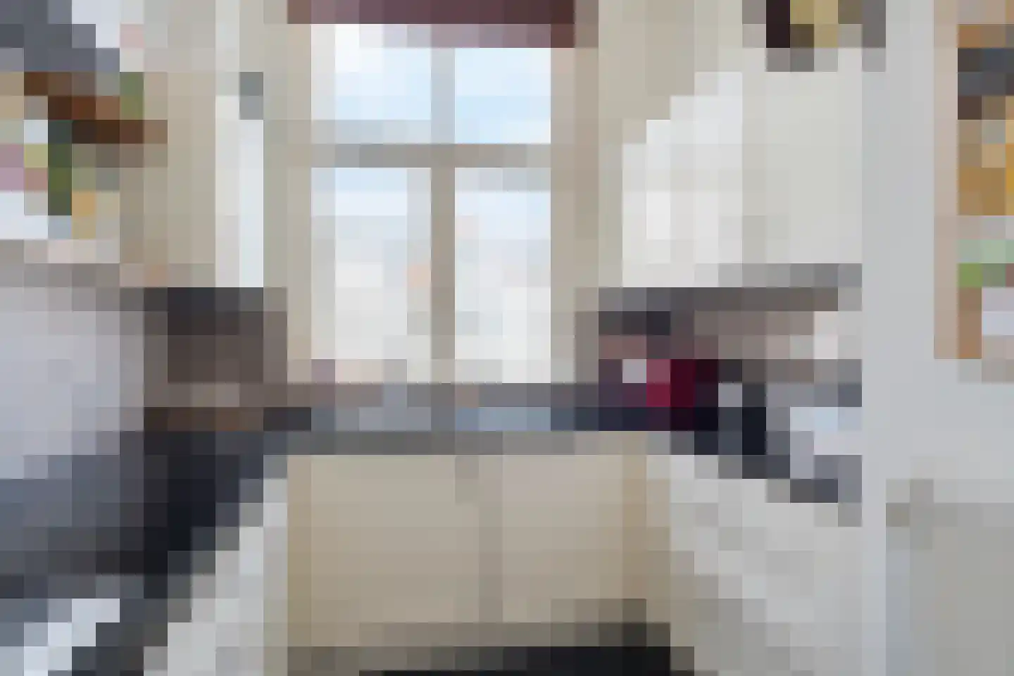 Snelliusstraat 17 Den Haag thumbnail 16