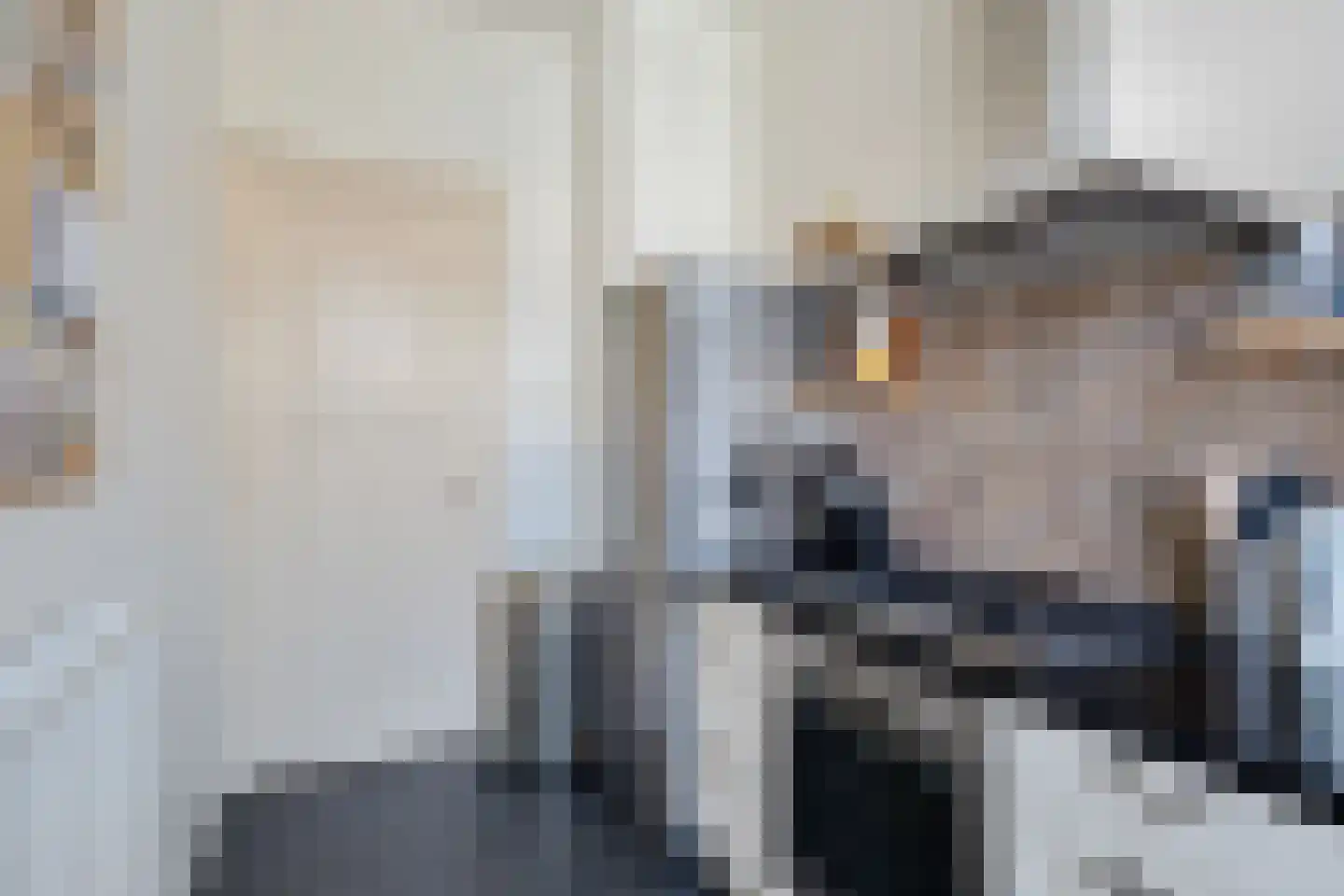Snelliusstraat 17 Den Haag thumbnail 17