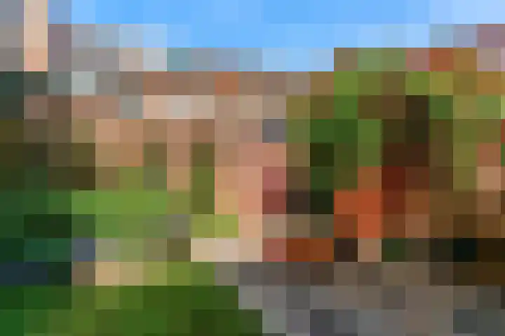 Snelliusstraat 18 IJmuiden thumbnail 20