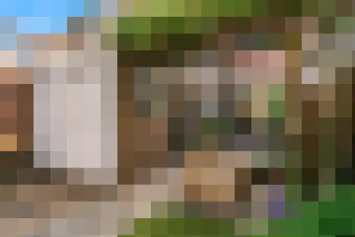 Snelliusstraat 18 IJmuiden thumbnail 21