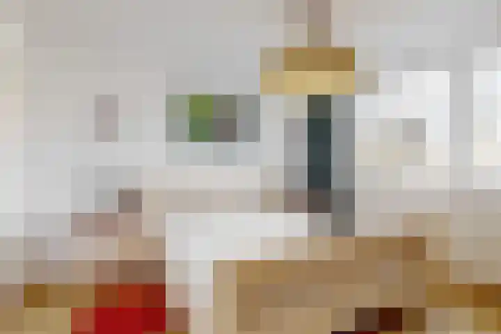 Snelliusstraat 18 IJmuiden thumbnail 28