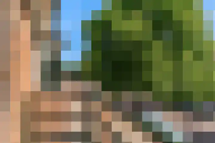 Snelliusstraat 18 IJmuiden thumbnail 33