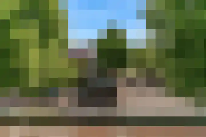 Snelliusstraat 18 IJmuiden thumbnail 34