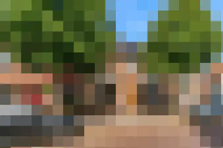 Snelliusstraat 18 IJmuiden thumbnail 43