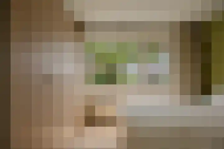 Snelliusstraat 20 Nijmegen thumbnail 17