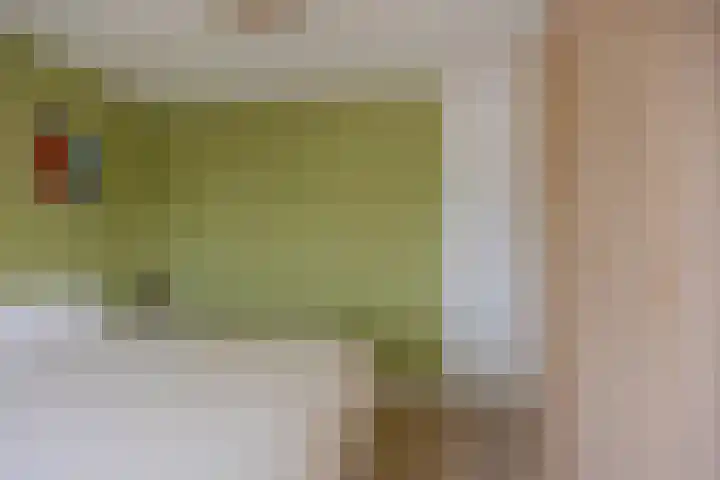 Snelliusstraat 20 Nijmegen thumbnail 18