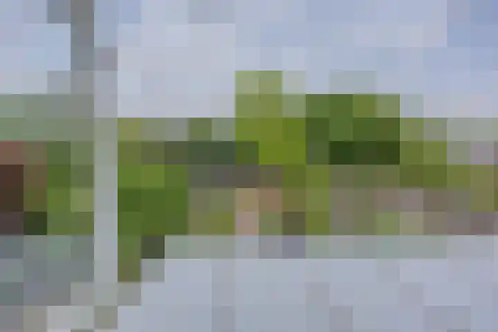 Snelliusstraat 20 Nijmegen thumbnail 26