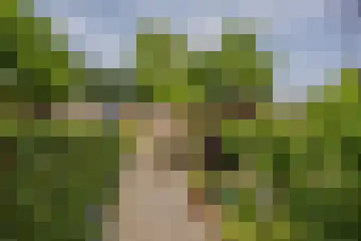 Snelliusstraat 20 Nijmegen thumbnail 35