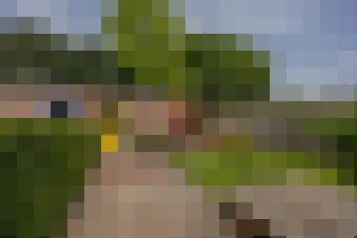 Snelliusstraat 20 Nijmegen thumbnail 36