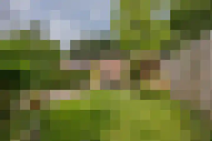 Snelliusstraat 20 Nijmegen thumbnail 38