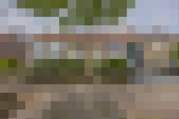 Snelliusstraat 20 Nijmegen thumbnail 40