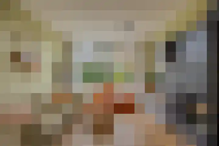 Snelliusstraat 20 Nijmegen thumbnail 9