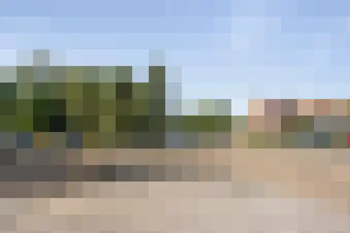Snelliusstraat 21 A IJmuiden thumbnail 27