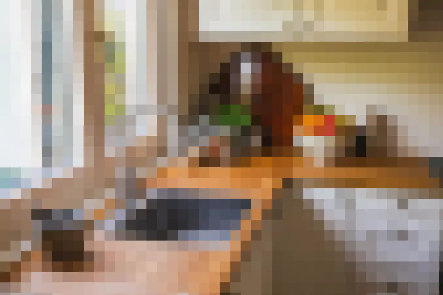Snelliusstraat 21 Den Haag thumbnail 17