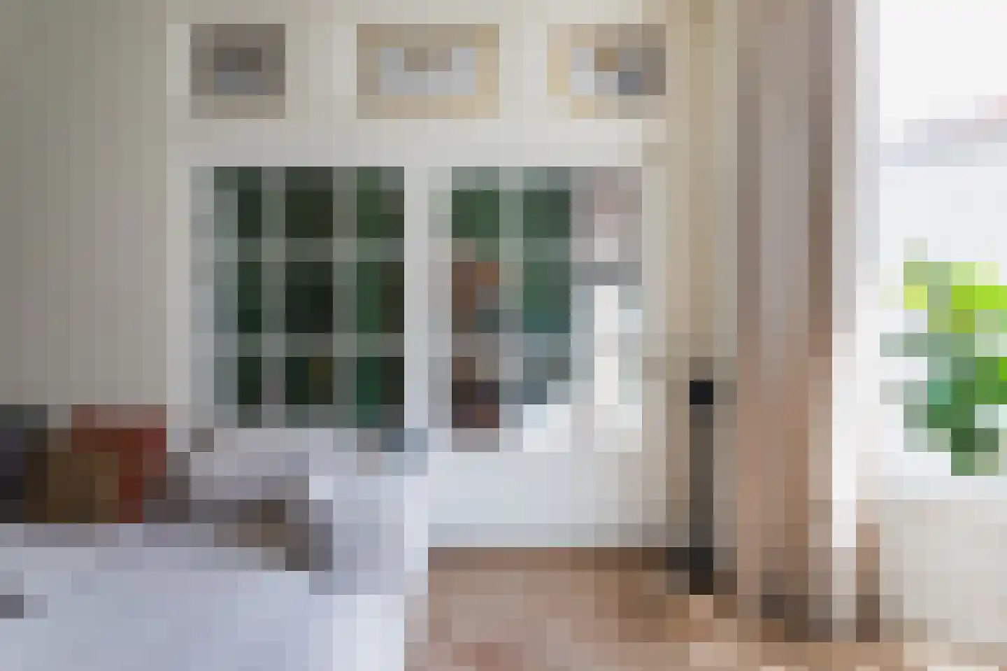 Snelliusstraat 21 Den Haag thumbnail 21