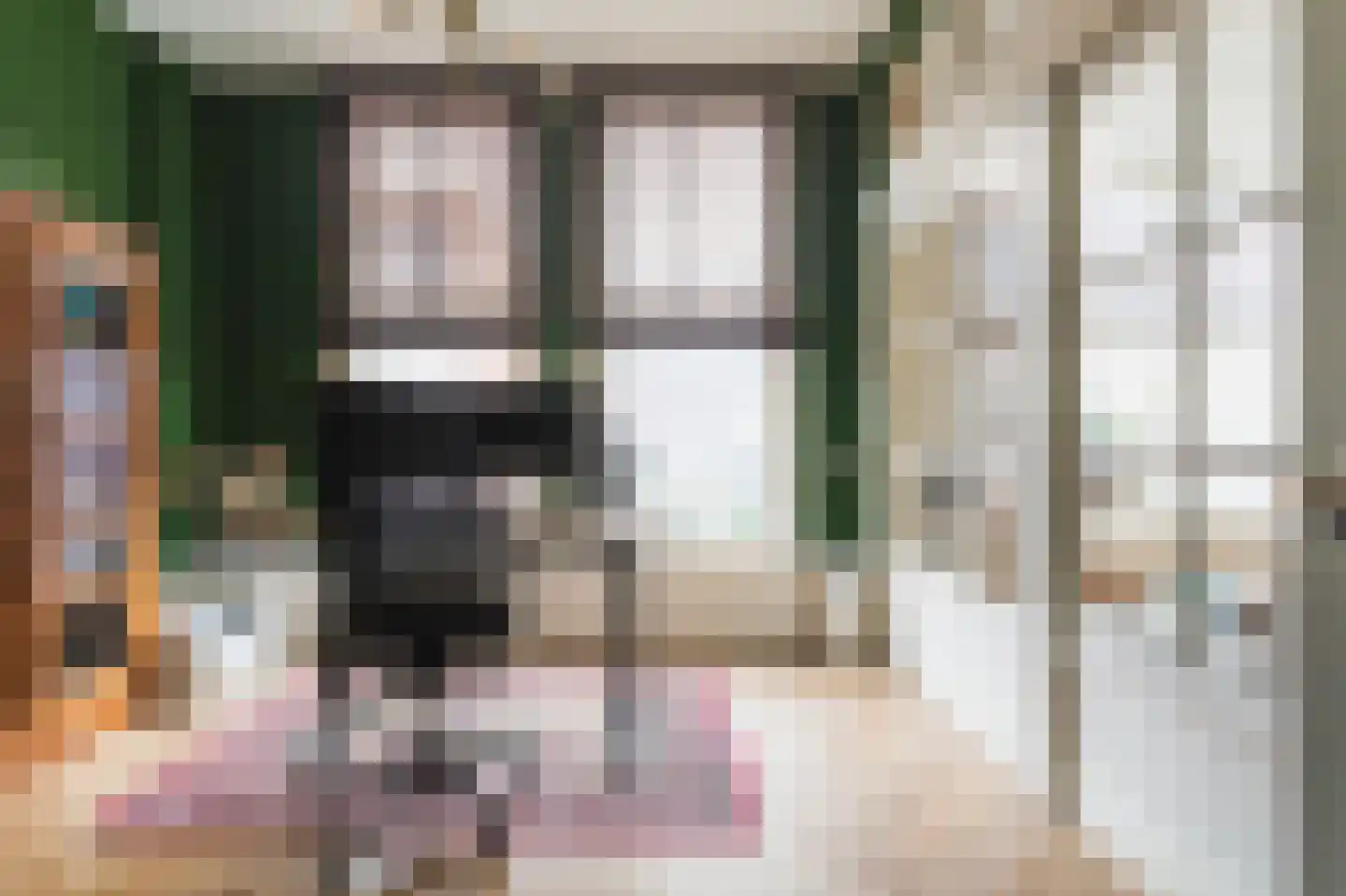 Snelliusstraat 21 Den Haag thumbnail 23