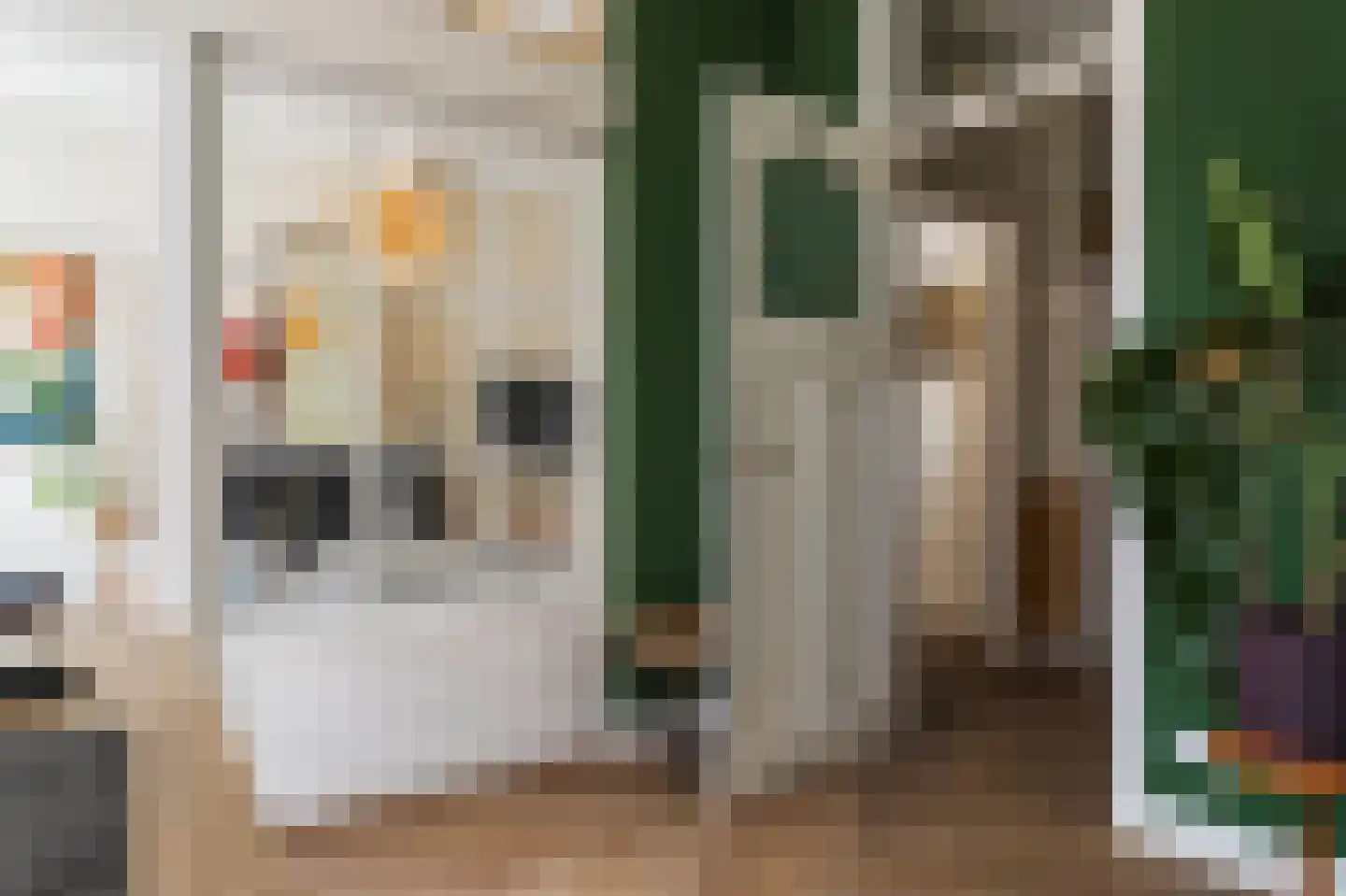 Snelliusstraat 21 Den Haag thumbnail 26