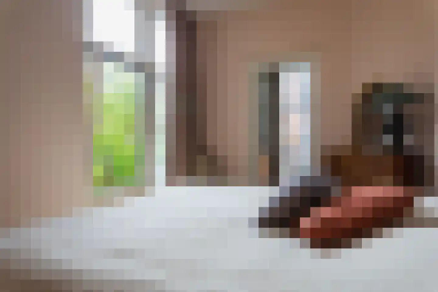 Snelliusstraat 21 Den Haag thumbnail 30