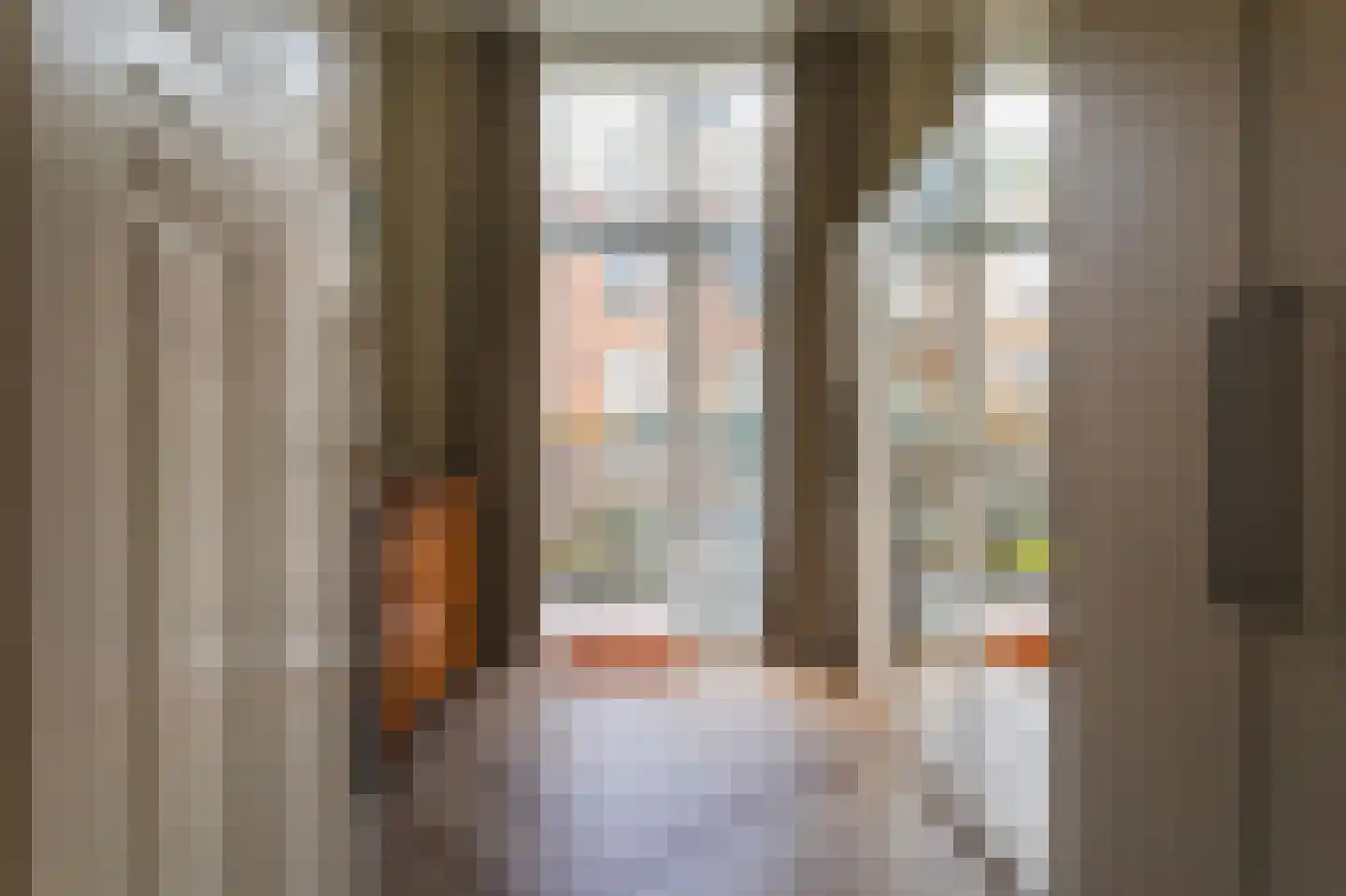Snelliusstraat 21 Den Haag thumbnail 34
