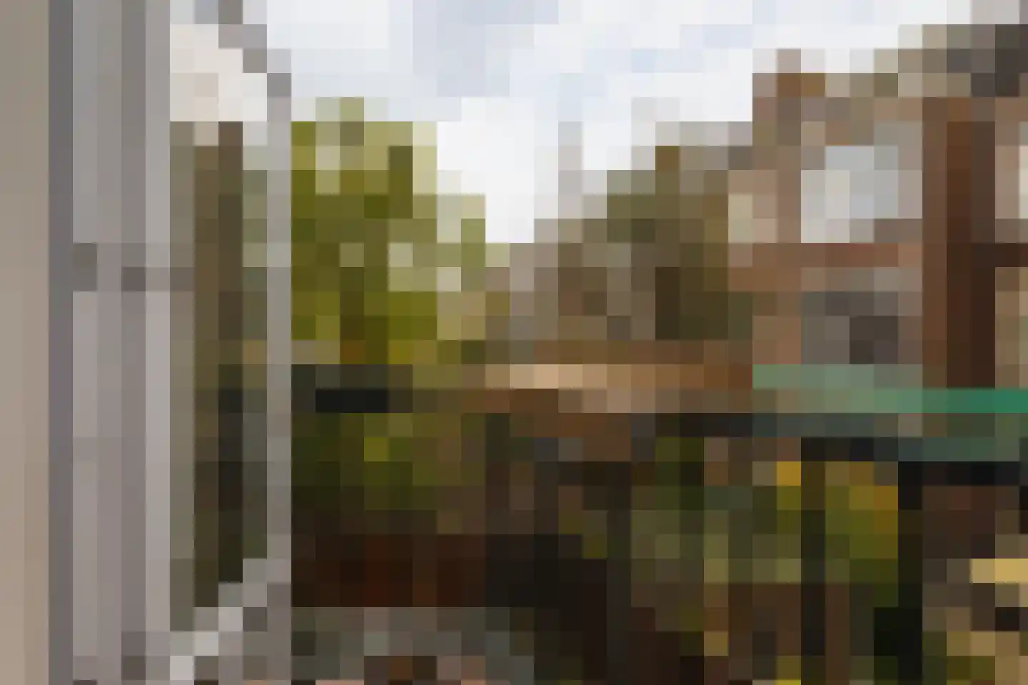 Snelliusstraat 21 Den Haag thumbnail 39