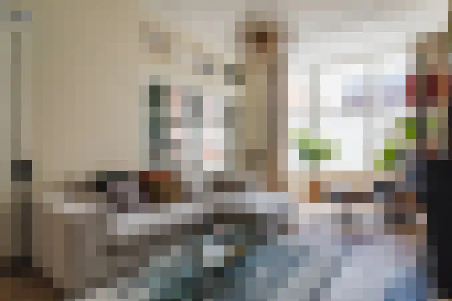 Snelliusstraat 21 Den Haag thumbnail 4