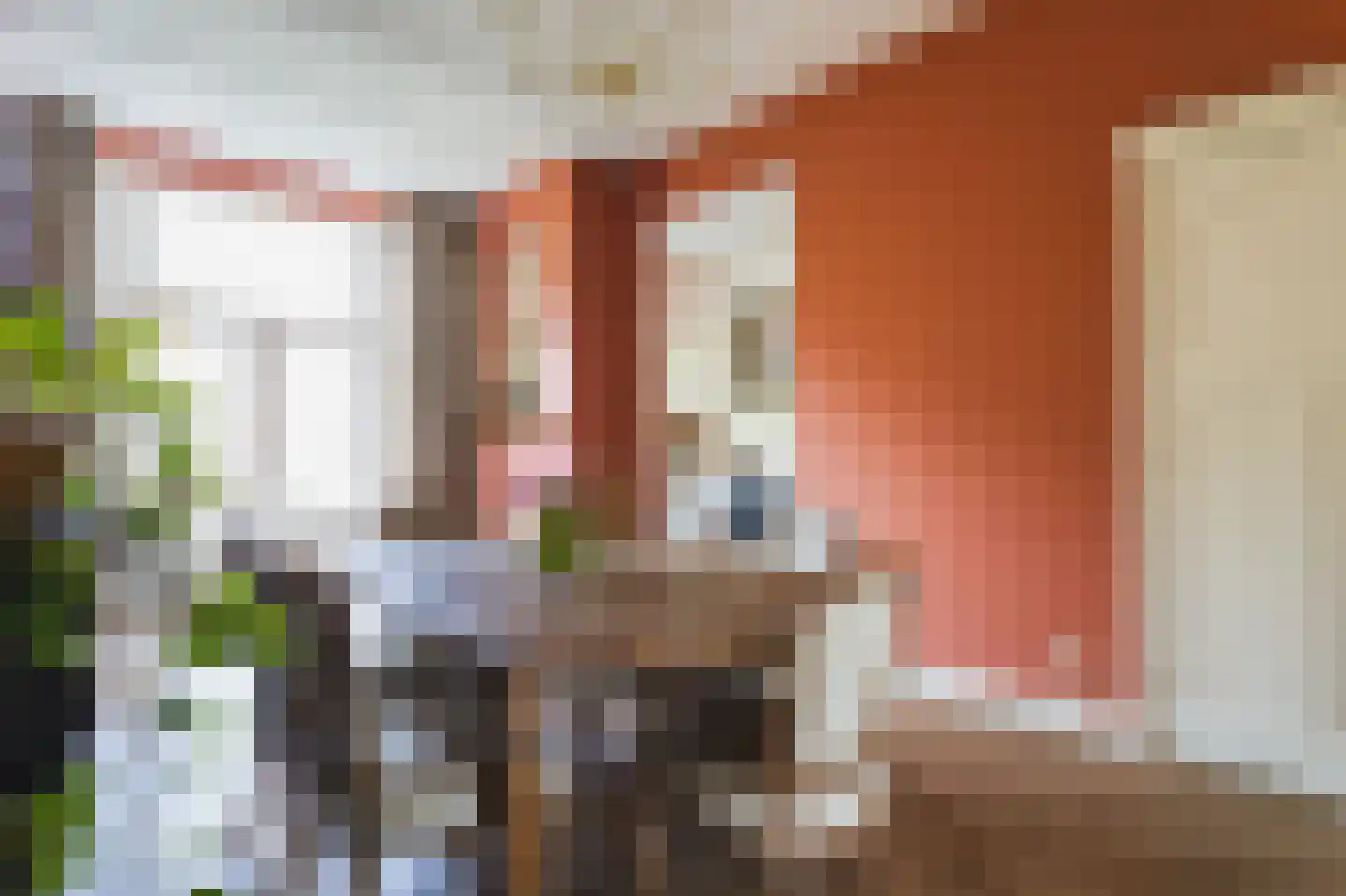 Snelliusstraat 21 Den Haag thumbnail 8