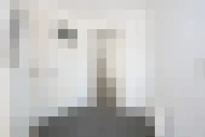 Snelliusstraat 21 IJmuiden thumbnail 6