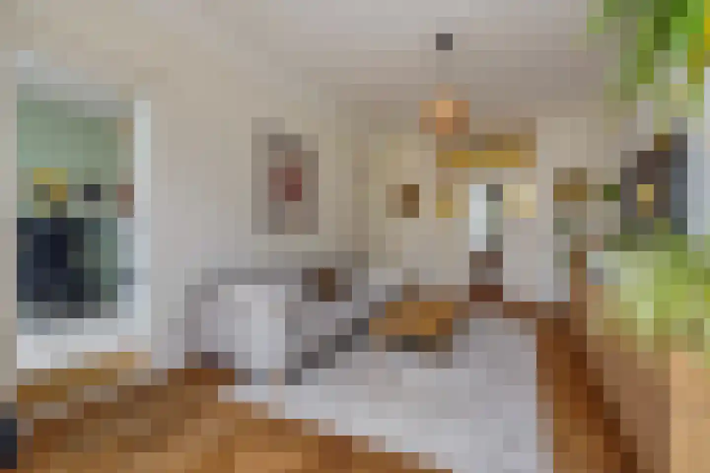 Snelliusstraat 22 Den Haag thumbnail 10