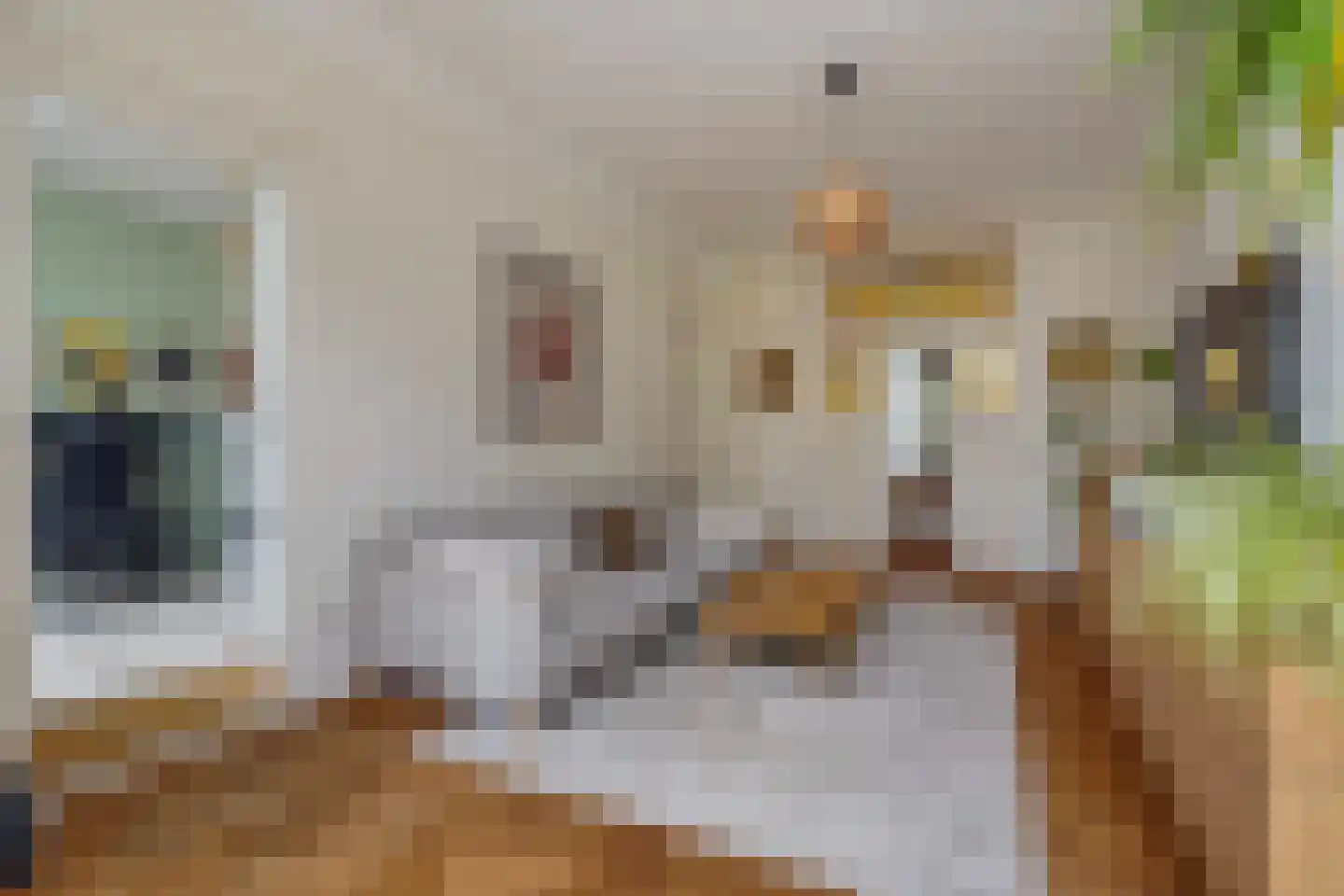 Snelliusstraat 22 Den Haag thumbnail 11