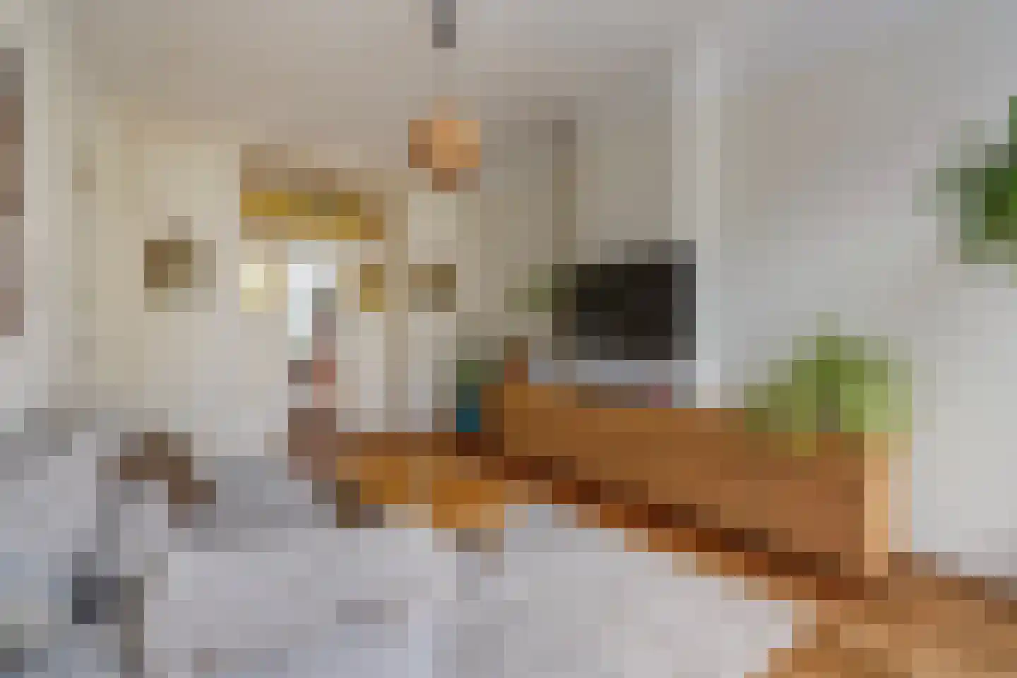 Snelliusstraat 22 Den Haag thumbnail 11