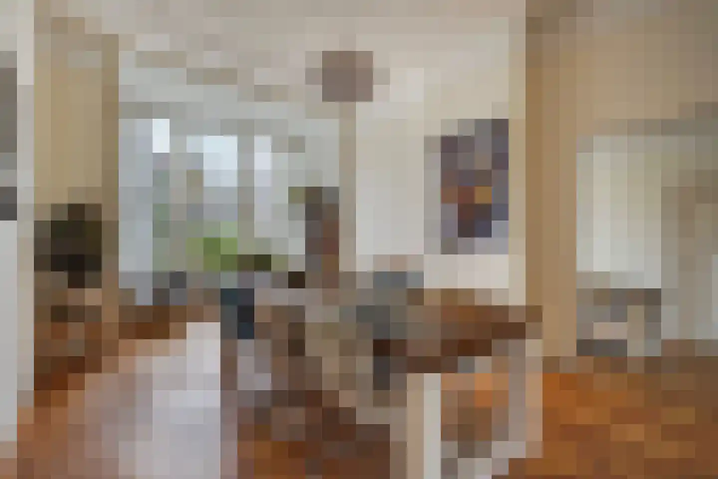 Snelliusstraat 22 Den Haag thumbnail 13