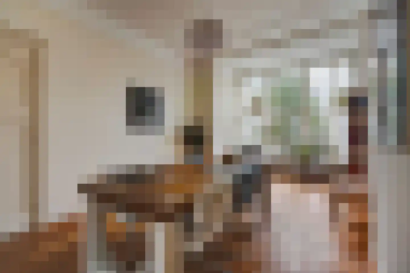 Snelliusstraat 22 Den Haag thumbnail 14