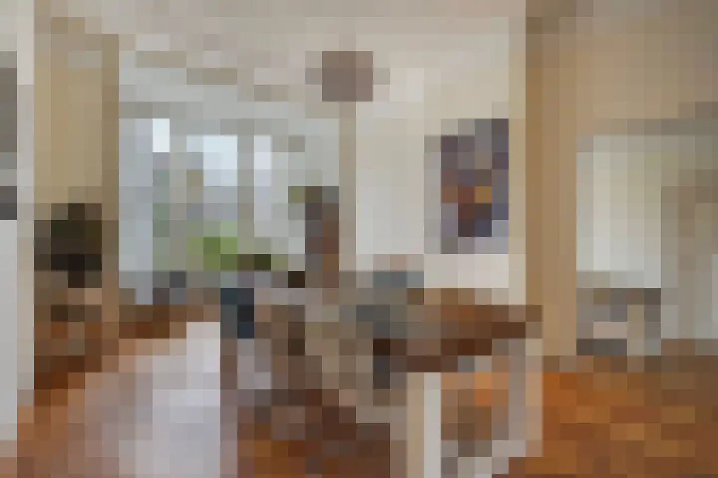 Snelliusstraat 22 Den Haag thumbnail 14