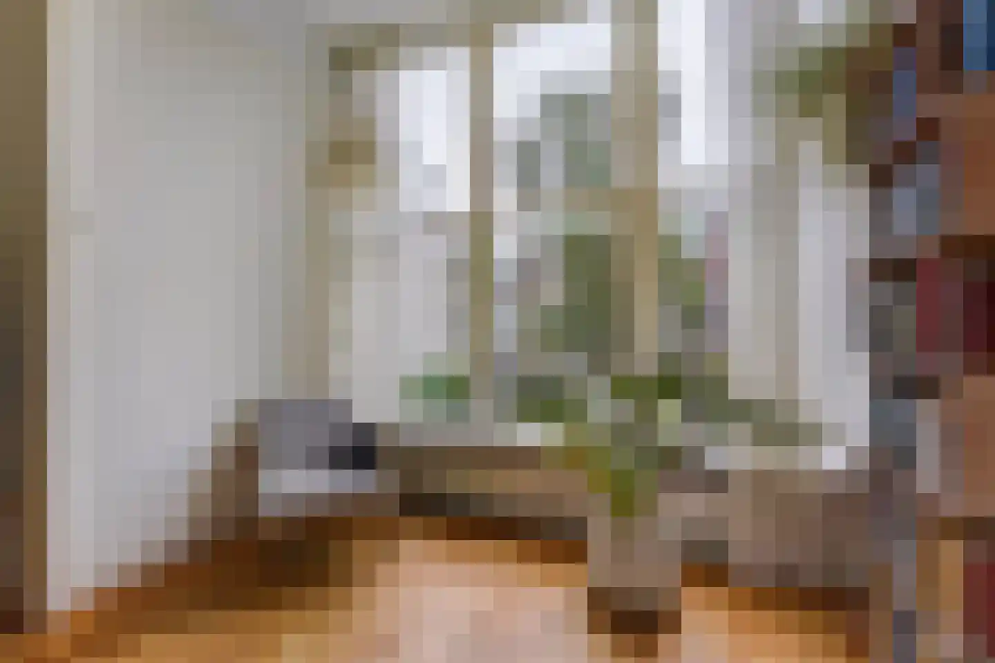 Snelliusstraat 22 Den Haag thumbnail 15