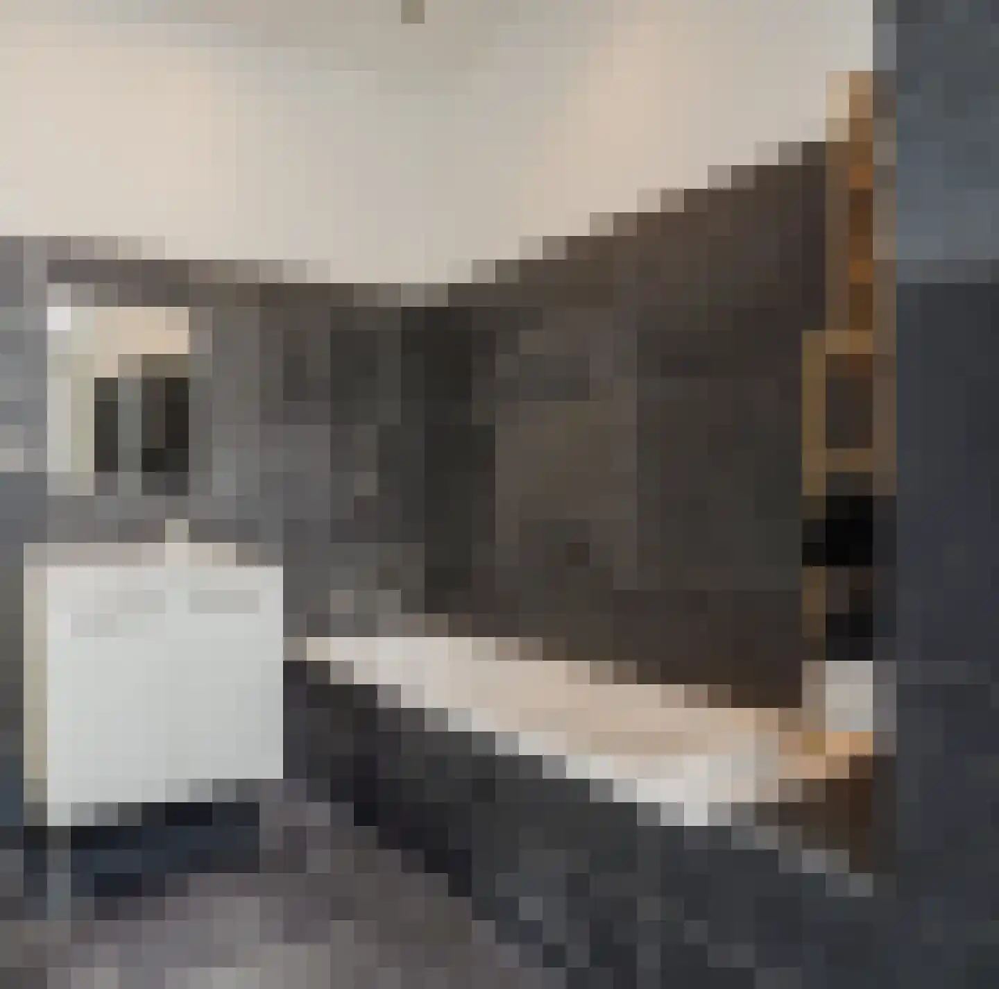 Snelliusstraat 22 Den Haag thumbnail 16