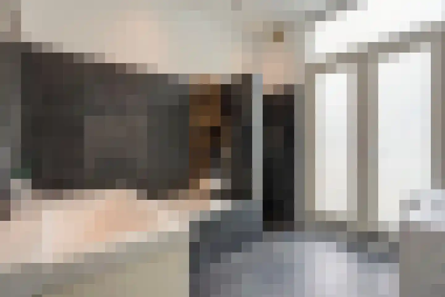 Snelliusstraat 22 Den Haag thumbnail 17