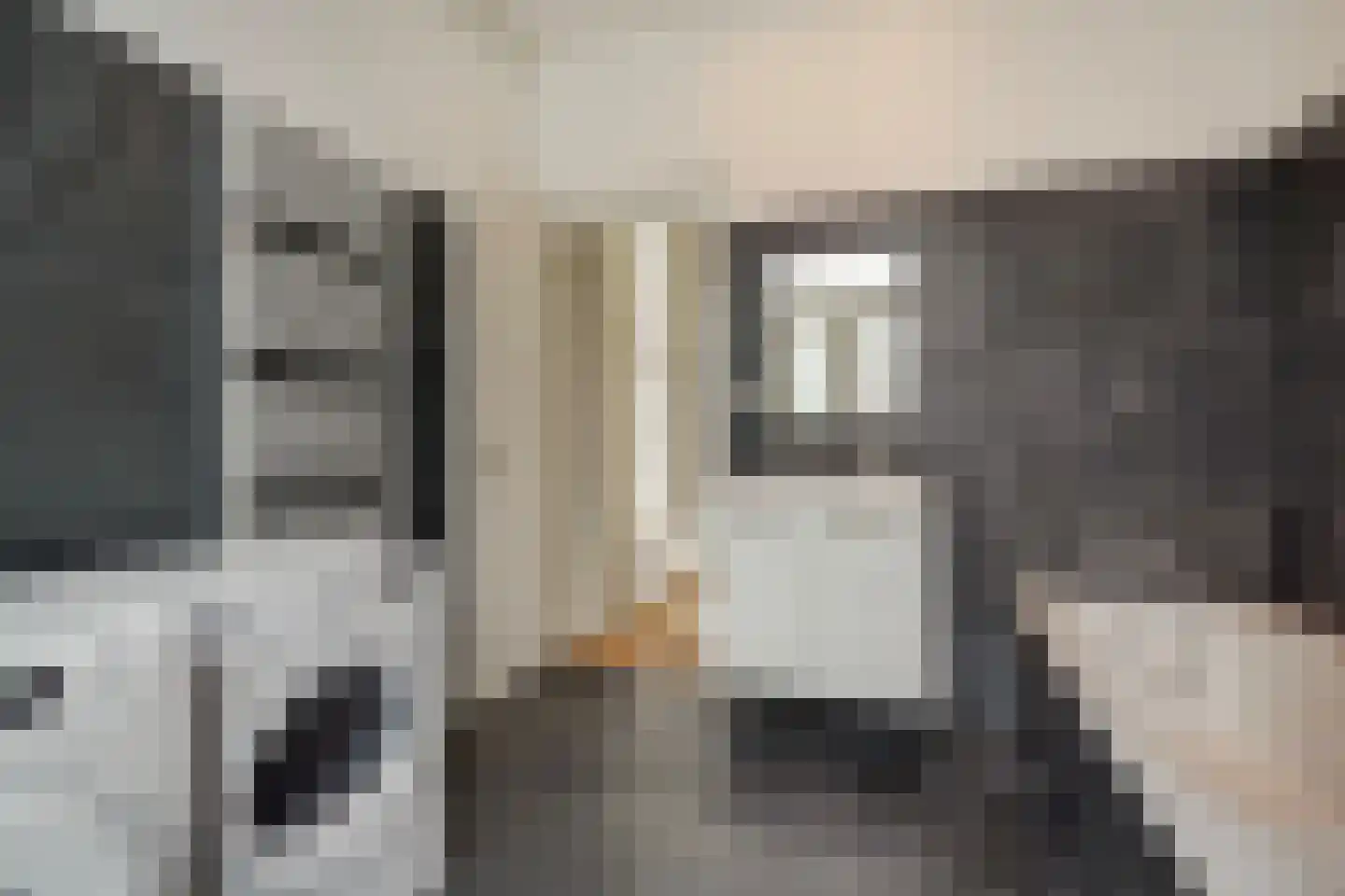 Snelliusstraat 22 Den Haag thumbnail 20