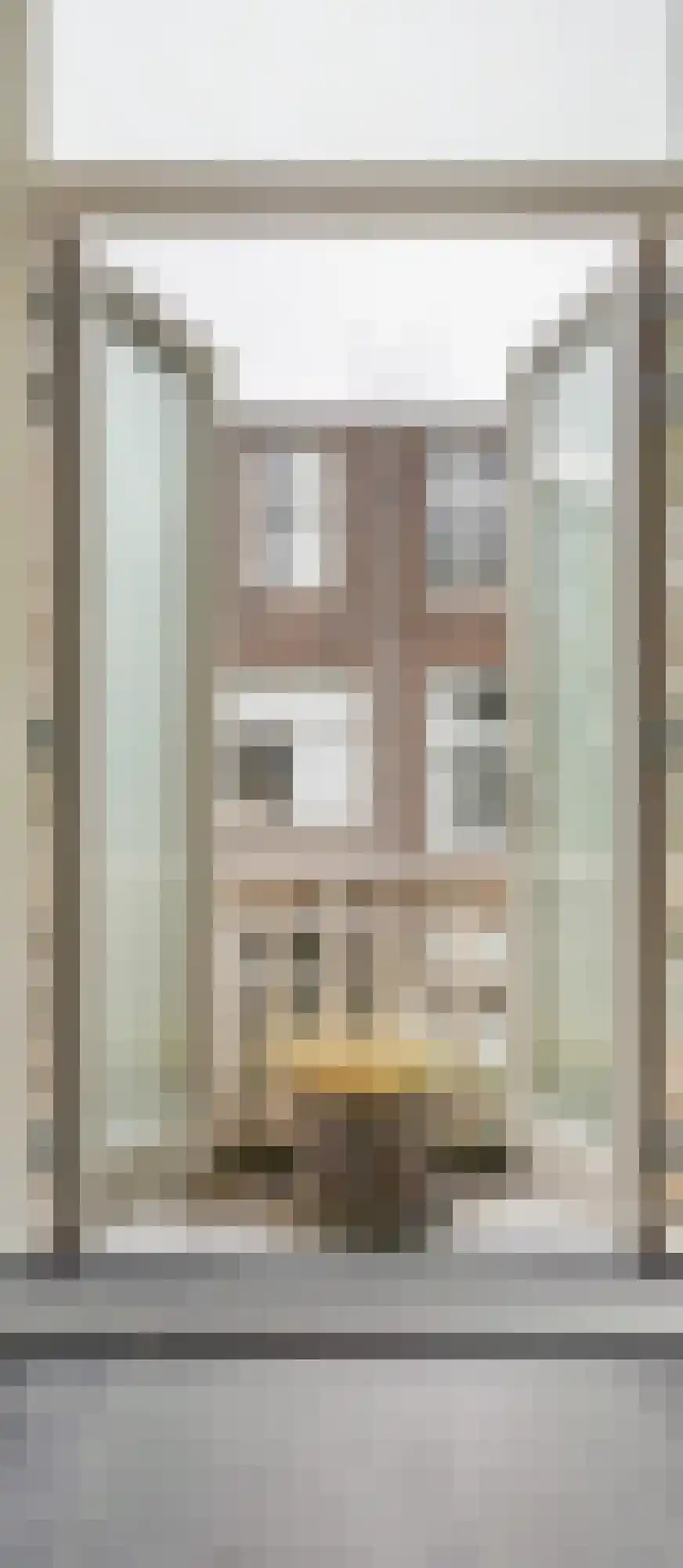 Snelliusstraat 22 Den Haag thumbnail 21