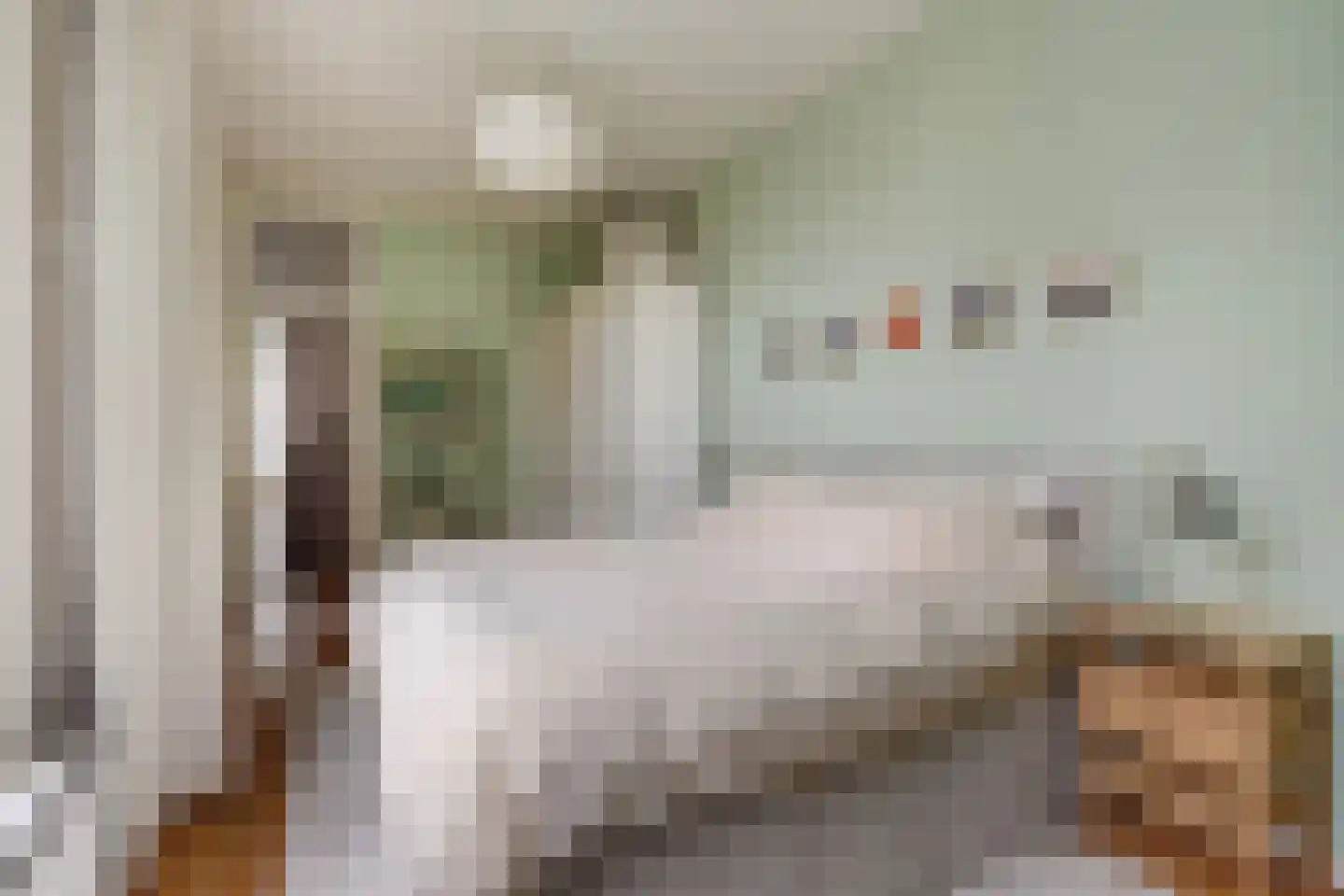Snelliusstraat 22 Den Haag thumbnail 27