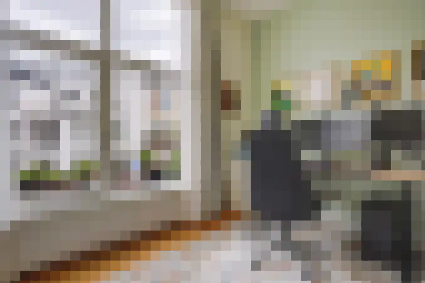 Snelliusstraat 22 Den Haag thumbnail 28