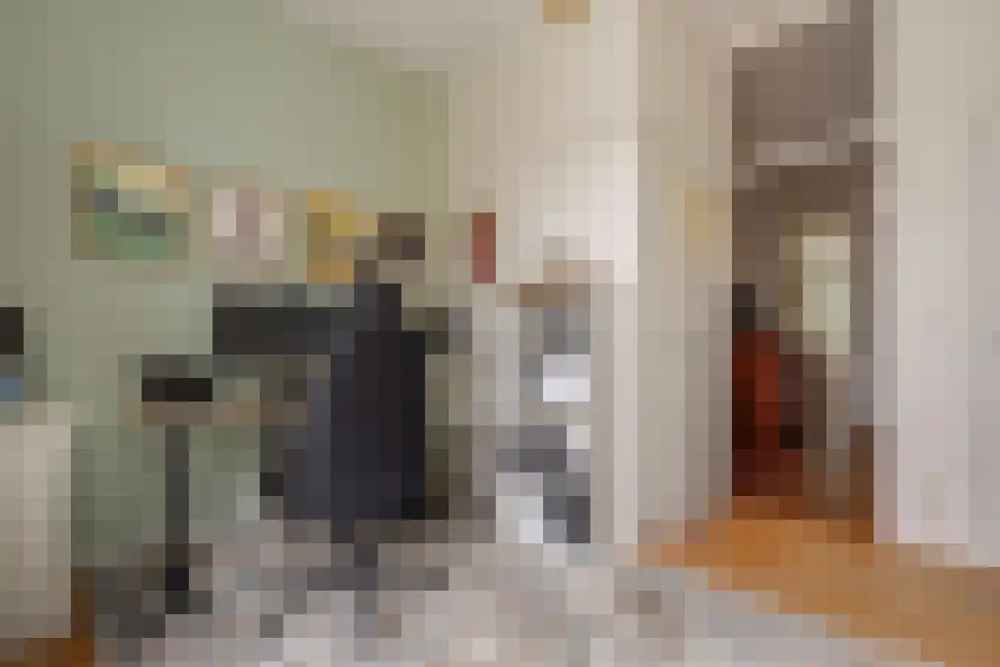 Snelliusstraat 22 Den Haag thumbnail 29