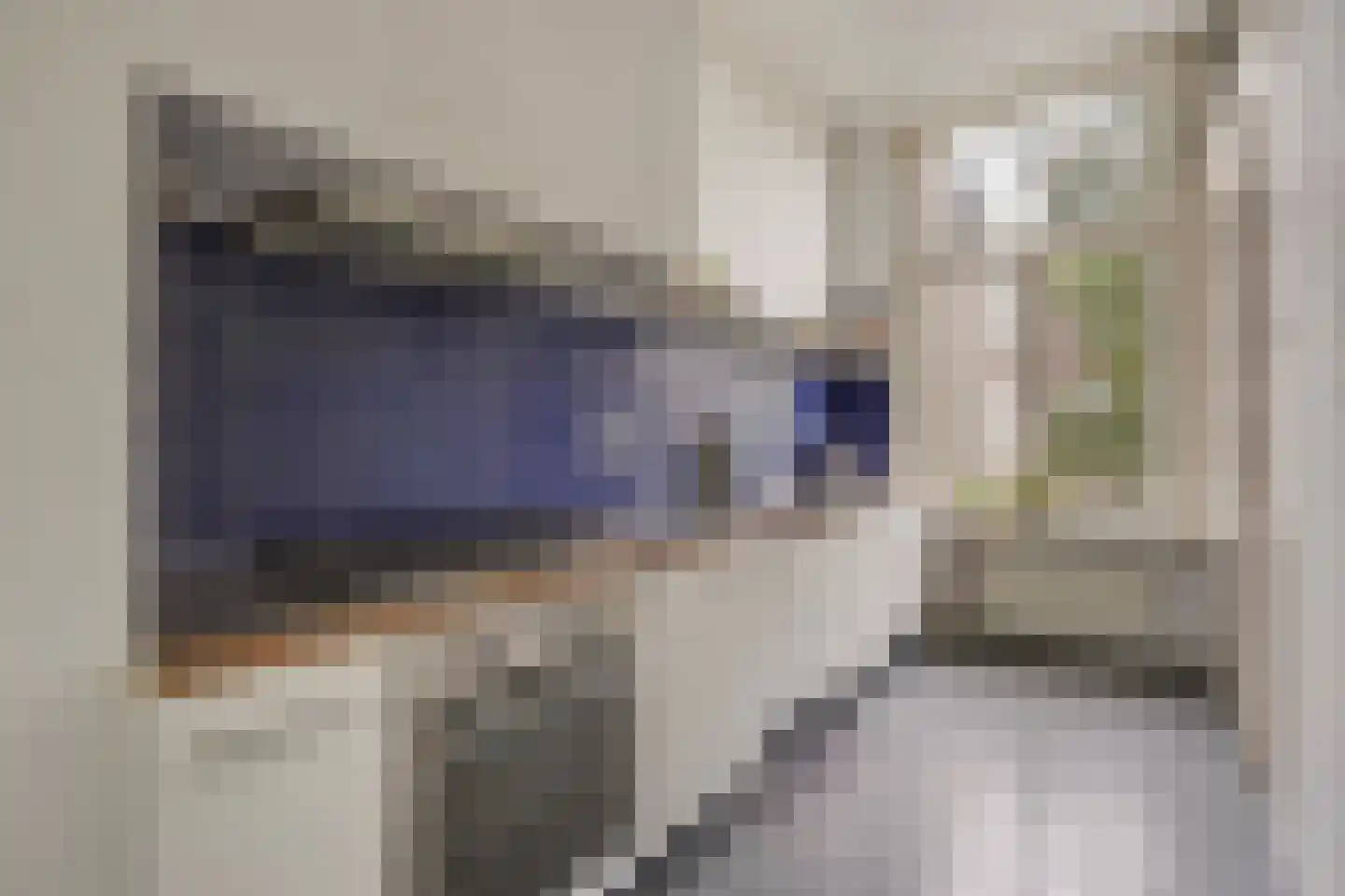 Snelliusstraat 22 Den Haag thumbnail 30